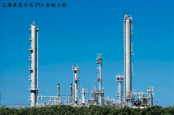 上海亚东石化PTA系统工程